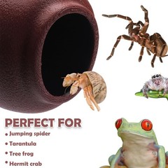 Jumping Spider Nest Spider Hideout Tree Frog Hide Hermit Crab Climbing House …