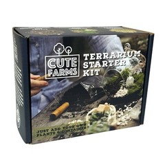 DIY Terrarium Starter Kit – DIY Succulent Terrarium Kit for Adults and Kids