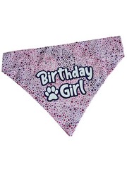 Birthday Girl Over the Collar Dog Bandana That Slips onto Their Existing Coll…
