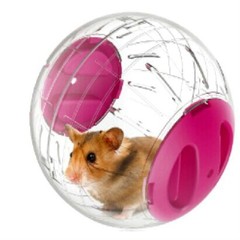 emours Pets Small Animals Run-About Mini 4.7inch Exercise Balls for Dwarf Ham…