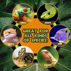 Cliff & Cave Hideout Rainforest Series – Reptile Ledge Hide Basking Rock Terr…