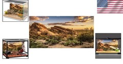 60×24 Inches Gorgeous Desert Oasis Background for Aquariums & Reptile Habitats