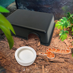Reptile Hide Box 4 Pcs Leopard Gecko Hide Snake Hideout Reptile Hides