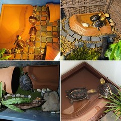 3PCS Tortoise Water Bowl Set with Ramp & Leaf – Reptile Bathing Pool & Food Dish