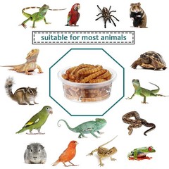 100 Pcs 0.5 Oz Crested Gecko Food and Water Feeding Cups