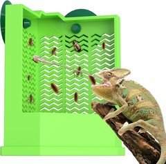 Pawfly Reptile Feeder Bowl – Escape-Proof Large, Corner Mounted Feeding Dish