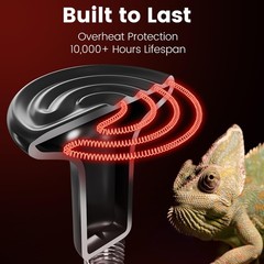 2-Pack 150W Ceramic Heat Emitter for Reptiles – No Light Night Time Heat Bulb…