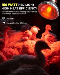Heat Lamp Bulbs for Chickens Coop Brooder,150 Watt Reptile Heat Lamp Bulb Inf…