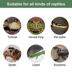 Resin Turtle Reptile Platform Basking Ramp Tank Water Aquatic Climb Ornament