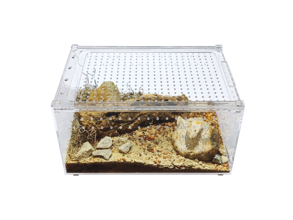 Herpcult Acrylic Reptile Terrarium Gecko Spider Vivarium Enclosure Large Flat