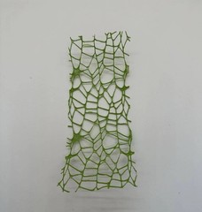 Green Jumping Spider/ Mantis Moss Ribbon 2×6