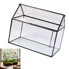 Desktop Glass Display Box with Air Hole Cover for Succulents Plant Pet Viewing
