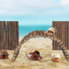 QUOZUO 2PCS Reptile Hideout Hermit Crab Bendable Bridge, Wooden Hermit Crab H…