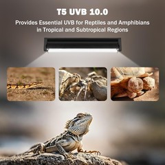 T5 10.0 UVB Reptile Light Fixture, T5 UVA UVB Light Tube Lamp Blub 8W 12″ for…