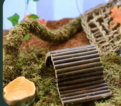 Hermit Crab Reptile Toy Hammock Swing Moss Bridge Turtle Snake Tortoise Lot