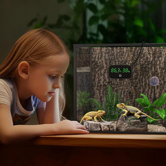 PAIZOO Reptile Thermometer Hygrometer, LED Digital Terrarium Thermometer and Hum