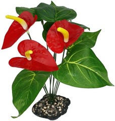 Reptile, Komodo Anthurium Bush Plant with Gravel Base (1 count)