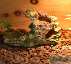 Reptile Small Hide, Turtles Hide Cage, Artificial Plant Rock, Humidified Habitat