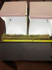 18 in Organic Sheet Mossed 1/4 in Poles For Your Terrariums Or Plants Set Of 2