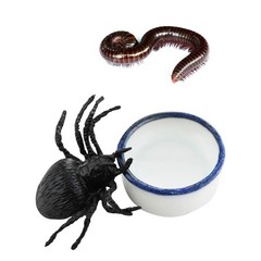 6 Pcs White Spider Micro Water Bowls Mini Ceramic Dish Set