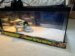 Reptile 20g tank w/supplies