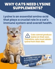 L-Lysine for Cats – Lysine – Immune System, Normal Eye Function and…