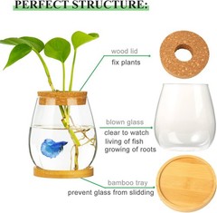 Desktop Fish Bowl Clear Glass Small Tank with Wood Lid and Bamboo Stand…