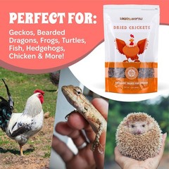 1 lb Dried Crickets Natural Insect Food for Reptiles Birds Chicken Fish Hamsters