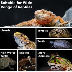 Reptile Heat Lamp, 100W Heat Lamp Bulbs for Reptiles 2 Pack, Amphibians Baski…