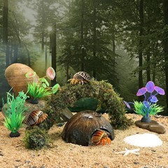 Hermit Crab Accessories, 5Pcs Hermit Crab Climbing Toys Coconut Shell Hideout