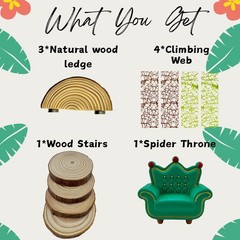 Jumping Spider Enclosure Accessories Kit, Habitat Decor — Spider Throne, W