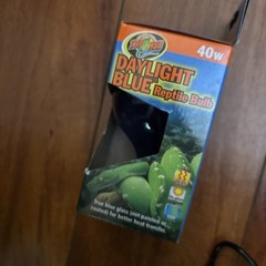 Zoo Med Daylight Blue Incandescent Bulb for Reptile 40W DB-40 (1 Unit) NEW