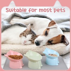 3 Pcs Elevated Cat Bowls 15°Raised Cat Food Bowl with Silicone Mat … Fast