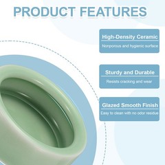 Reptile Food Bowl Worm Water Dish Ceramic Pet Bowl Small 2″ Plum Green