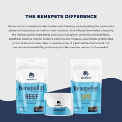 Benepets BeneReef Powder Complete Reef Nutrition – 1.4 Ounce (Pack of 1)