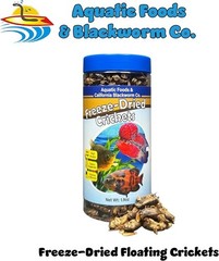 Crickets Freeze Dried for Large Fish Reptiles Turtles Frogs Tortoises Rodents