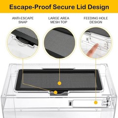 Polycarbonate Tank Kit for Tarantulas & Lizards