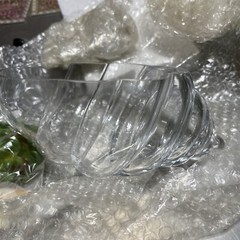 Habitat Terrarium Kit with Sand, Sea Shells, and Succulents