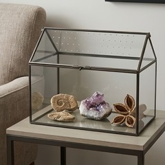 Desktop Glass Display Box with Air Hole Cover for Succulents Plant Pet Viewing