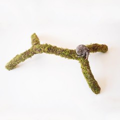 12 Inch Adjustable Hermit Crab Climbing Toys Habitat Tank Decor Supplies
