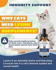 SANTKOL L-Lysine Supplement for Cats – Immune Support – 60ML Lysine 60 ML