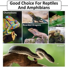 Hamiledyi Reptile Bark Bedding Tortoise 1 Pcs-Large