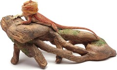Non-Porous Gnarled Root for Reptile Enclosures – 3.94 lbs, Easy Maintenance