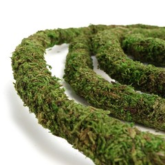 Moss Vine for Reptiles, Bendable Climbing Vines Reptile Tank Accessories, Nat…