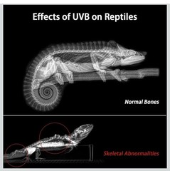 27-Inch LED UVB Reptile Light with Auto On/Off ，4 UVI Modes Controller, 22W