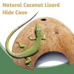 4 PCS Natural Coconut Reptile Hideouts Lizard Coco Hut Hermit Crab Hut Aquari…