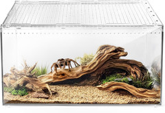Reptile Terrarium Tank and Reptile Tank 15X8X10In Versatile Enclosure for Leopar