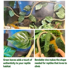 Crested Gecko Coconut Hide,Leopard Gecko Coco Hut Hideout Cave with Ladder,Re…