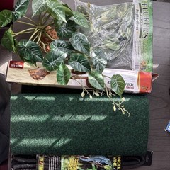 Lot of Terrarium Liner and Decor