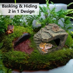Tfwadmx Tortoise Basking Platform, Crested Gecko Hide, Reptile Cave Hideout w…